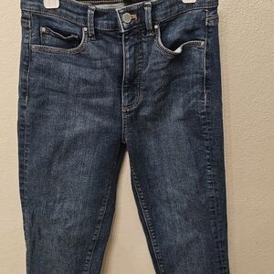 Ann Taylor Dark Blue Skinny Jeans